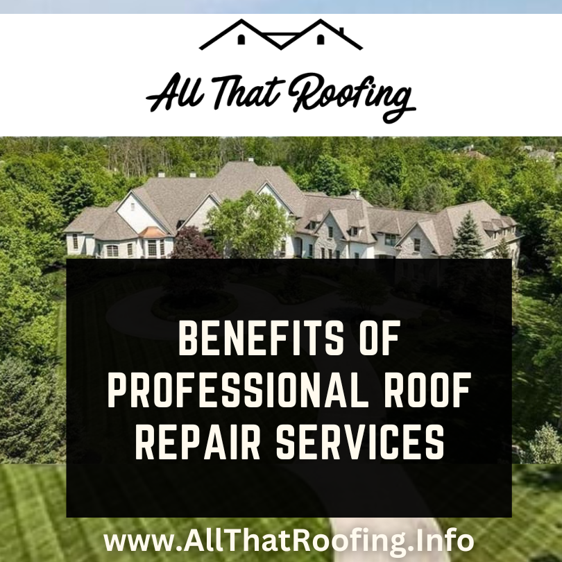 Benefits of Professional Roof Repair Services
