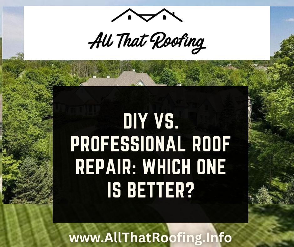 DIY vs Professional Roof Repair