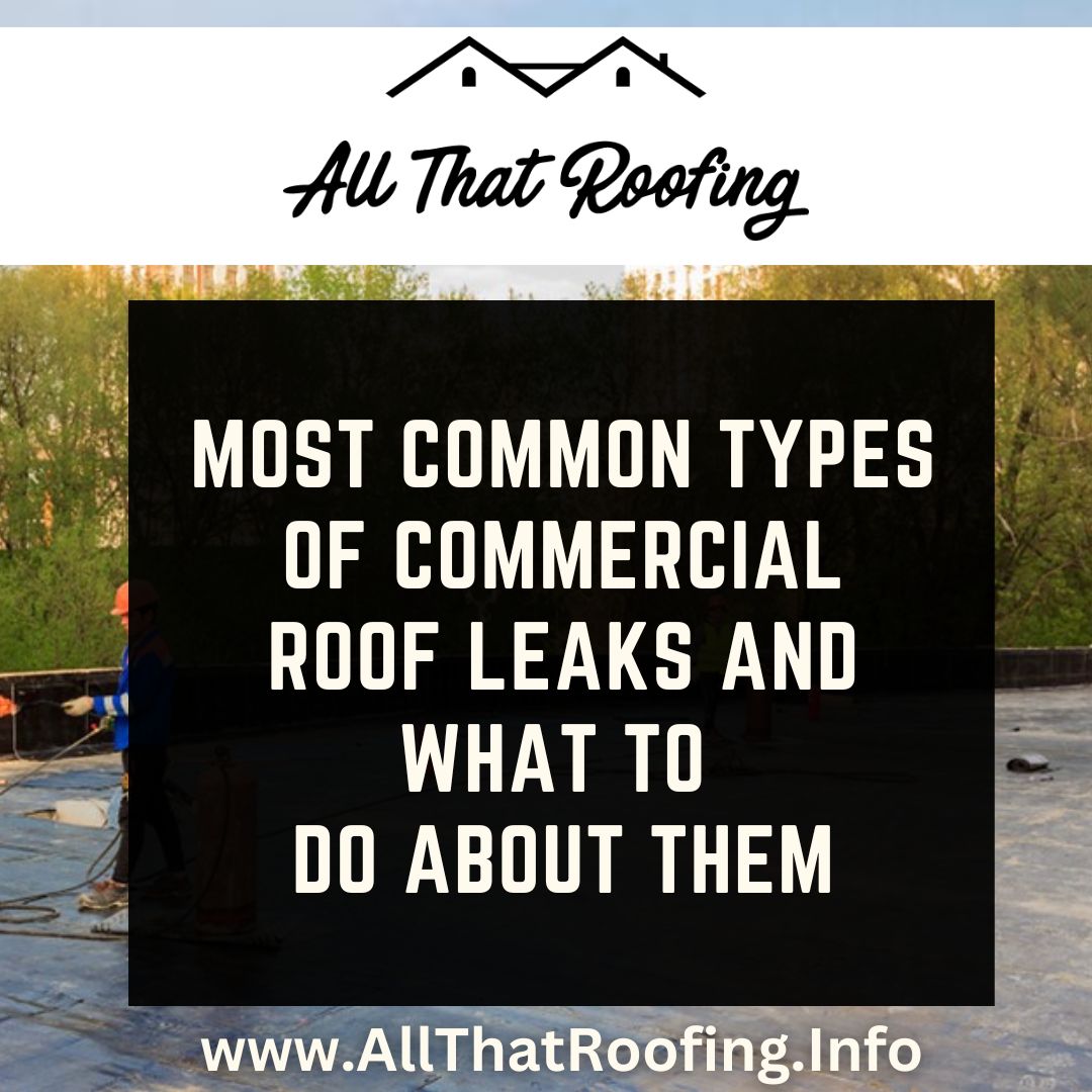 Most Common Types of Commercial Roof Leaks and What to Do About Them