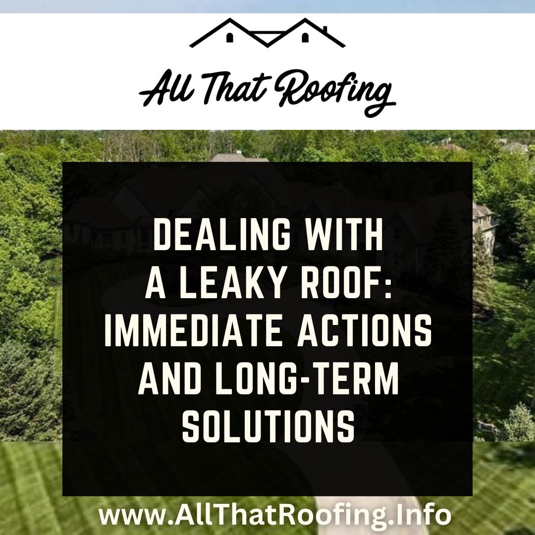 Dealing with a Leaky Roof - Immediate Actions and Long-Term Solutions