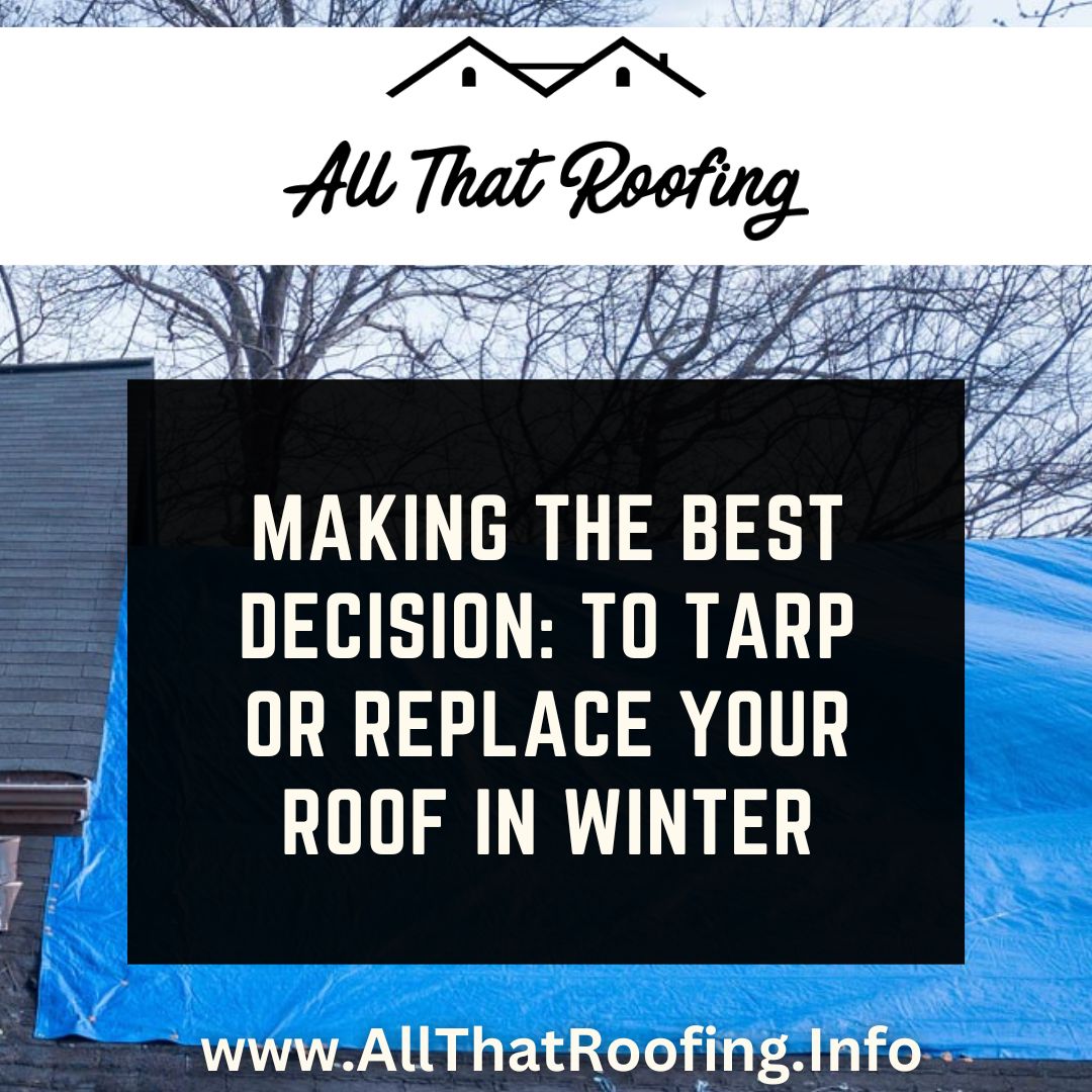 Decision-making process for roof tarping or replacement in winter.