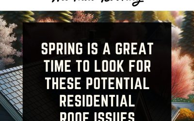 Spring is a Great Time to Look for These Potential Residential Roof Issues