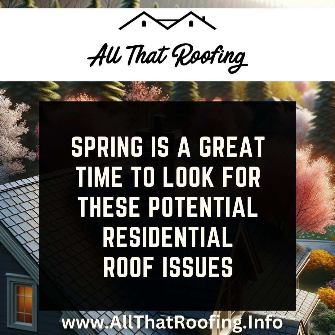Spring is a Great Time to Look for These Potential Residential Roof Issues