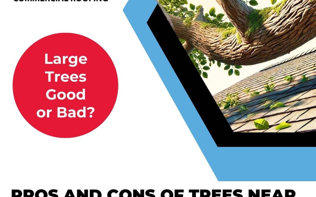 Pros and Cons of Trees Near or Hanging Over Your Roof for Summer Cooling