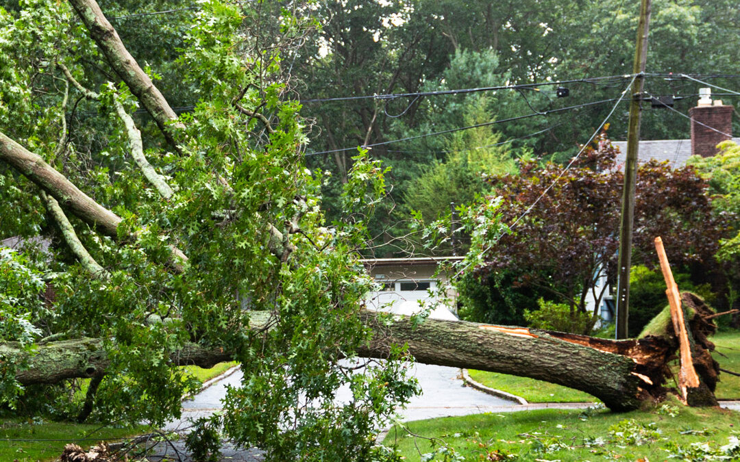 What to Do After February’s Severe Storms in Indiana