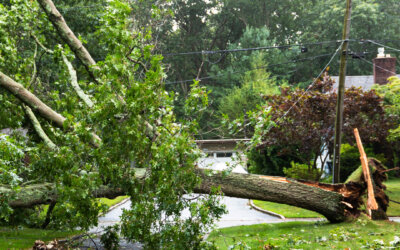 What to Do After February’s Severe Storms in Indiana