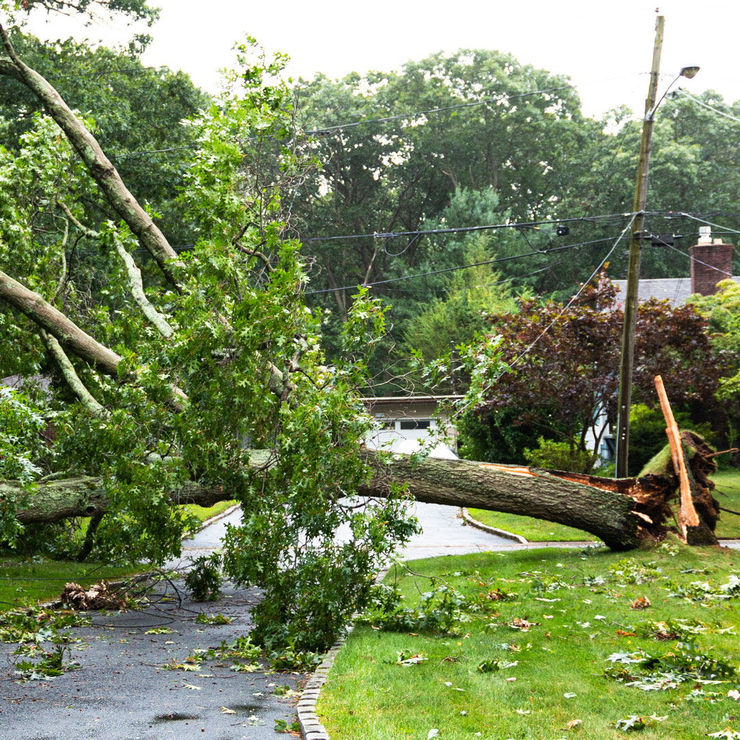 Severe Weather Aftermath: Dealing with Storm Damage after high winds or tornados!